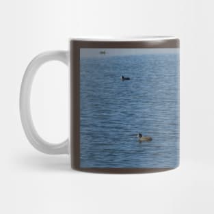 Ducks Mug